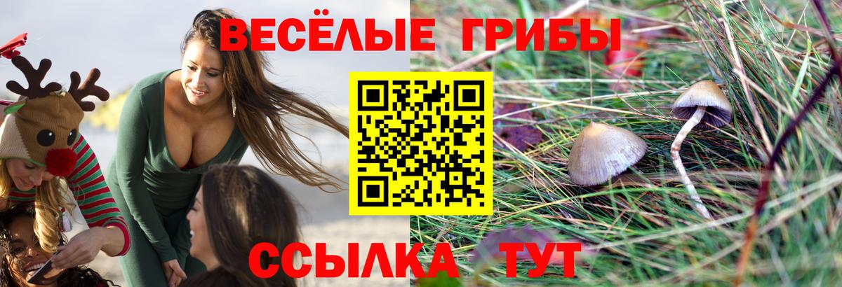 Галлюциногенные грибы мухоморы  Вход с VPN  Саратов 