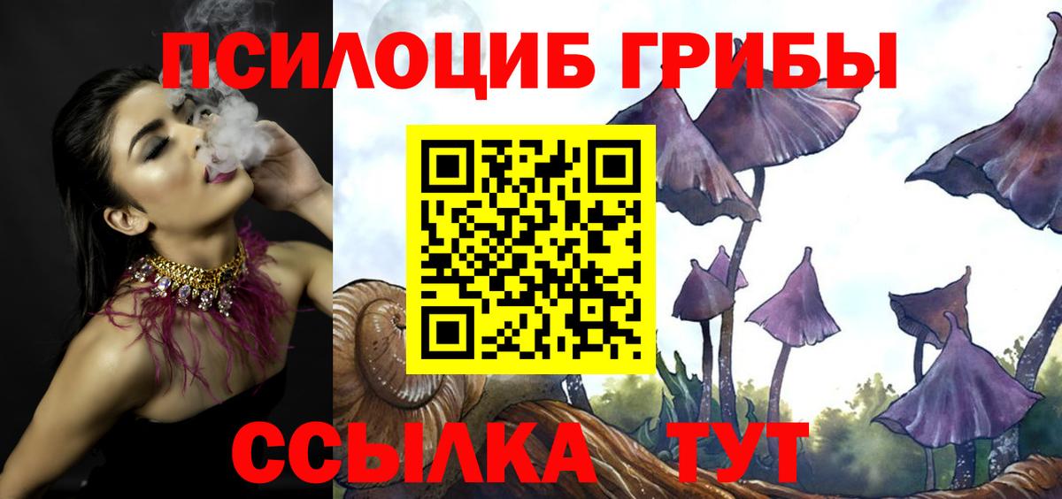 Галлюциногенные грибы Magic Shrooms Саратов